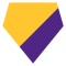 Minnesota Vikings